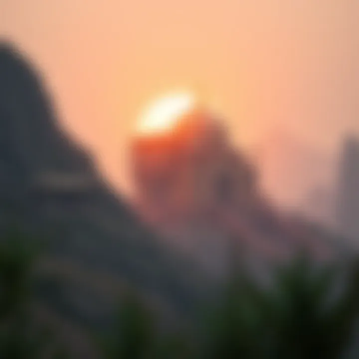 Magnificent 비트토렌트 코인: 실체와 전망