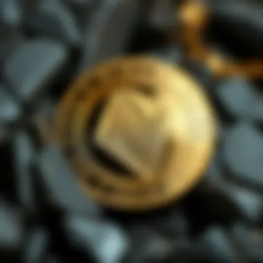 Magnificent Novo Coin: 블록체인 기술의 미래를 탐구하다 Magnificent Novo Coin: 블록체인 기술의 미래를 탐구하다
