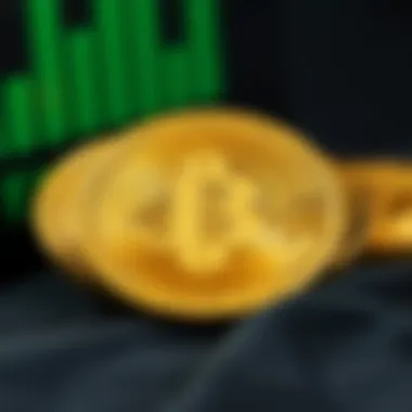 Magnificent PerfectMoney: 디지털 금융의 새로운 지평 Magnificent PerfectMoney: 디지털 금융의 새로운 지평