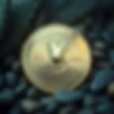 Magnificent Tether USD에 대한 심층 분석