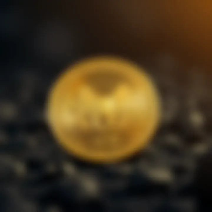 Magnificent Vet Coin: 이해와 전망