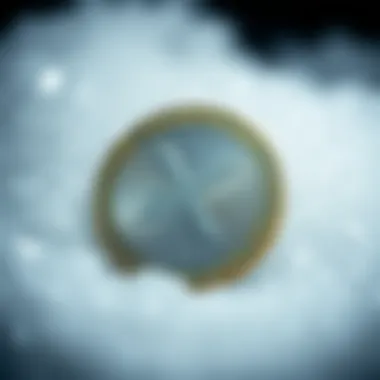 Magnificent XRP 구매 방법: 투자 안내서 Magnificent XRP 구매 방법: 투자 안내서