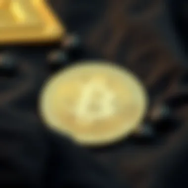 Notable BSV 코인에 대한 심층 분석 Notable BSV 코인에 대한 심층 분석
