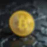 BTC 유로: 암호화폐의 국제적 상관관계 및 변동성 분석 Introduction