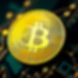 돈을 벌 수 있는 앱의 세계 Introduction