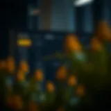 Overview of the Duelbits platform interface showcasing its user-friendly design.