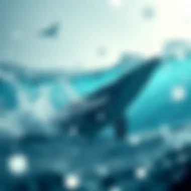 Empowering Investors Summary Visual summary of Whale Investment's role in empowering individual investors