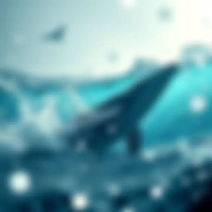 Empowering Investors Summary Visual summary of Whale Investment's role in empowering individual investors