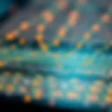 Concept of immutability illustrated through a digital ledger