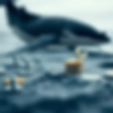 Investment Strategies Concept Conceptual representation of investment strategies offered by Whale Investment