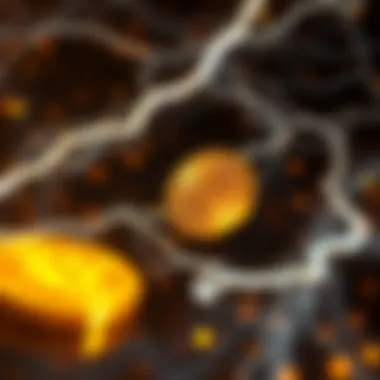 Bitcoin Transactions via the Lightning Network A conceptual illustration of Bitcoin transactions speeding through the Lightning Network.