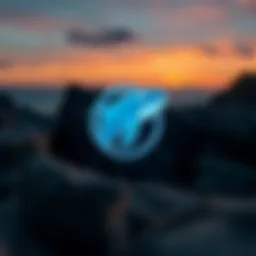 Representation of OrcaCoin logo