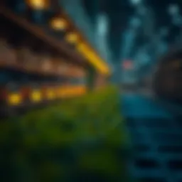 Conceptual representation of provenance tracing