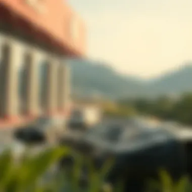 솔라 나 기반 밈 코인에 대한 심층 분석 Introduction