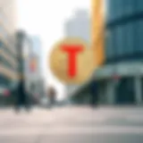 TAN ETF에 대한 포괄적 분석 Introduction