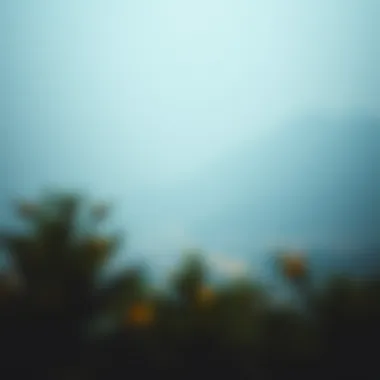 테라 루나의 이해: 암호화폐의 혁신과 도전 Summary