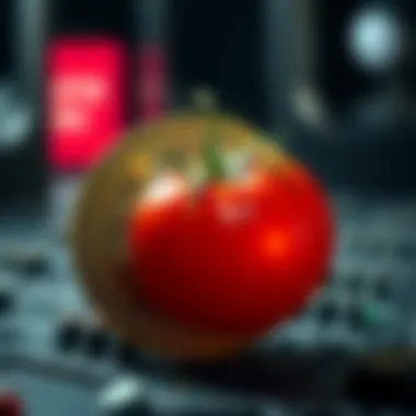 The Evolution of Tomato Coin in Digital Assets A conceptual illustration of tomato coin symbolizing digital assets