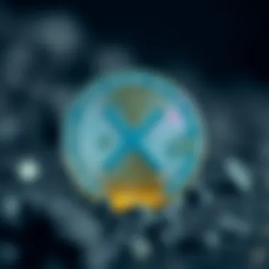 Notable XRP 구매 방법: 투자 안내서 Notable XRP 구매 방법: 투자 안내서