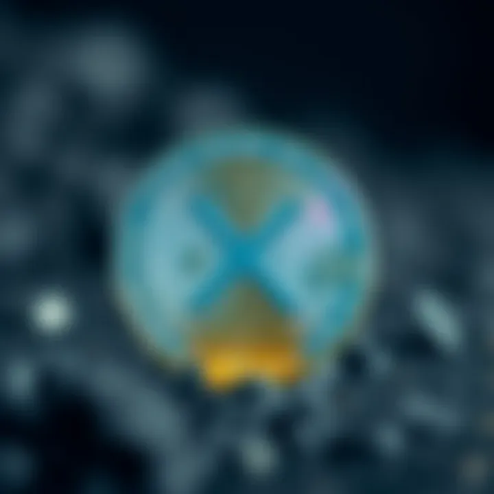 Notable XRP 구매 방법: 투자 안내서 Notable XRP 구매 방법: 투자 안내서